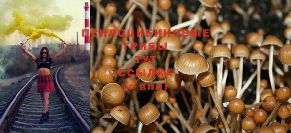 меф Новозыбков